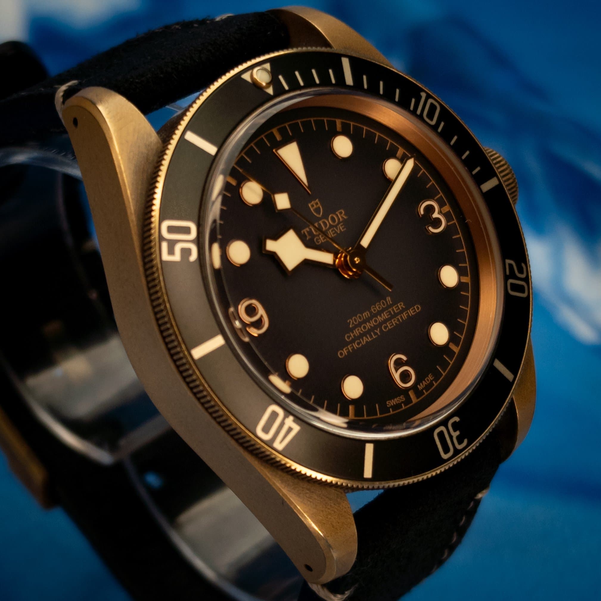 Tudor Tudor Black Bay Bronze 43 Slate Grey Dial (Ref. 79250BA-0001) — photo 5