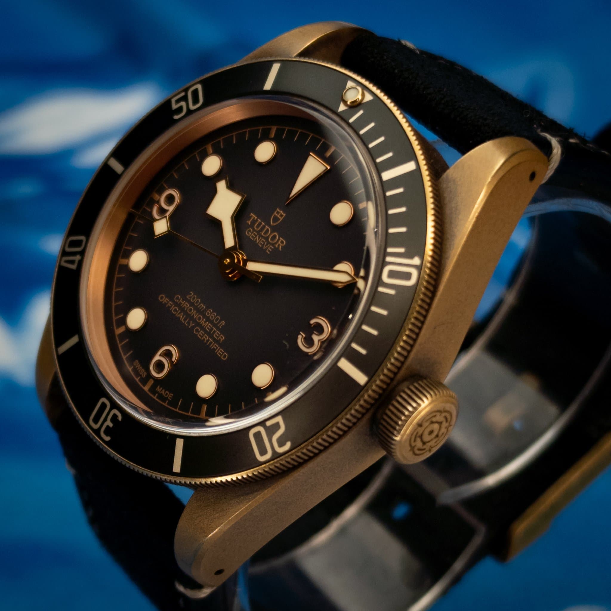 Tudor Tudor Black Bay Bronze 43 Slate Grey Dial (Ref. 79250BA-0001) — photo 6