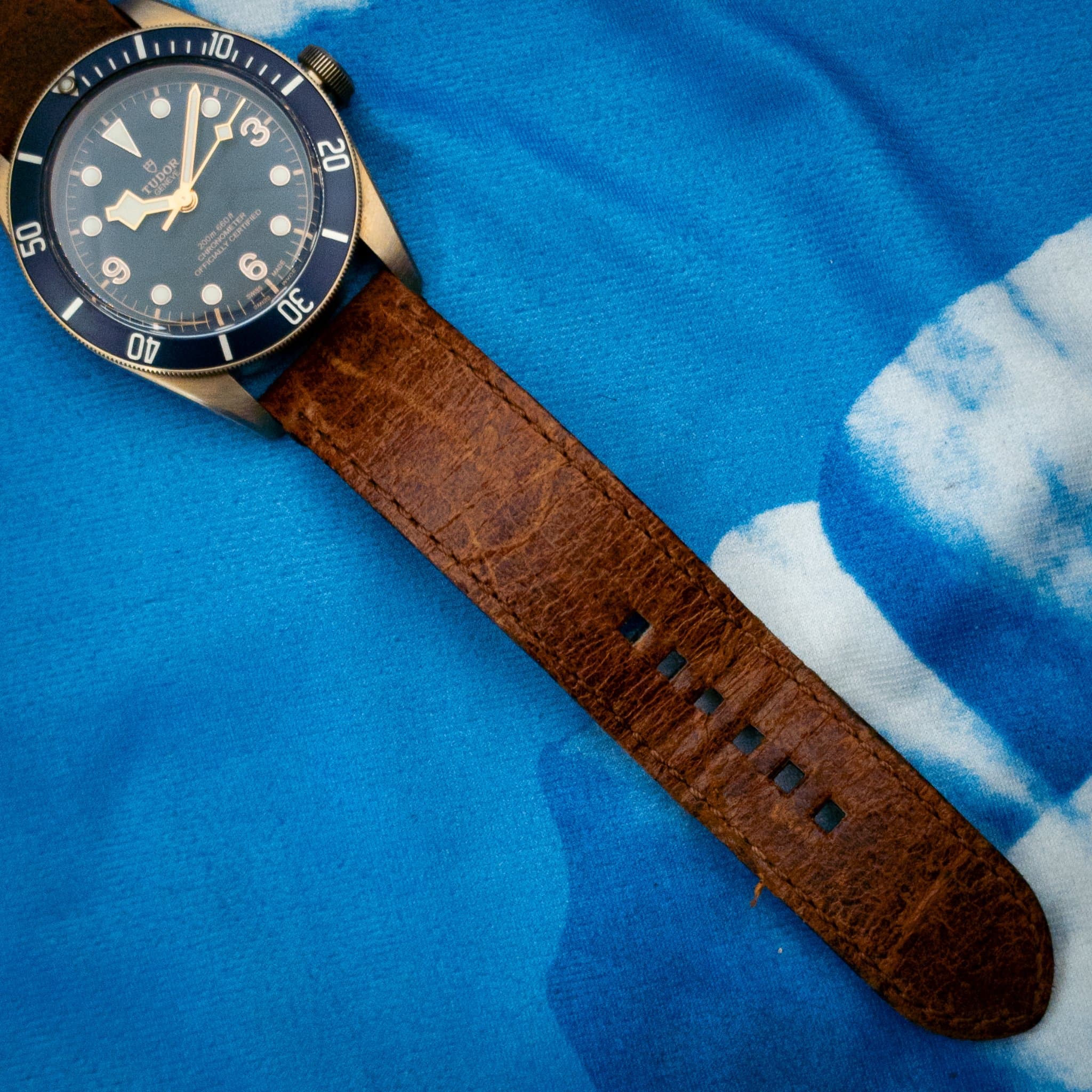 Tudor Black Bay (Ref. 79250BB-0001) — photo 11