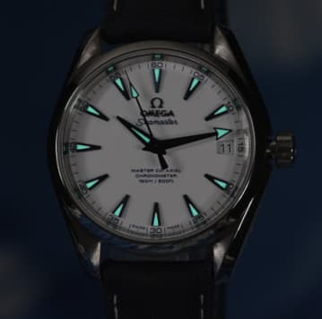 Omega Aqua Terra (Ref. 231.92.39.21.04.001) — photo 5