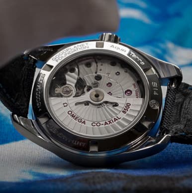Omega Aqua Terra (Ref. 231.92.39.21.04.001) — photo 14