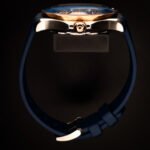 Omega Seamaster Diver 300M Master Co-Axial 42 Stainless Steel / Sedna Gold / Blue / Rubber — photo 13