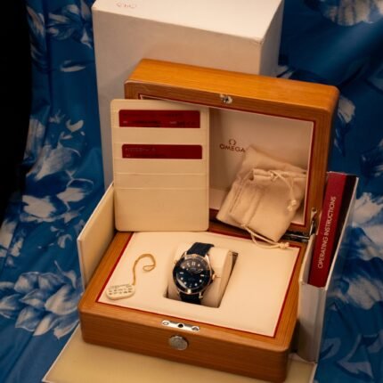 Omega Seamaster Diver 300M Master Co-Axial 42 Stainless Steel / Sedna Gold / Blue / Rubber — photo 2