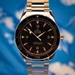 Omega Seamaster 300 Master Co-Axial Stainless Steel / Black / Bracelet — photo 1